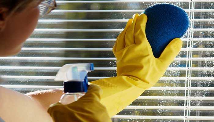 House Cleaning