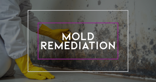 Mold Remediation by Allegro