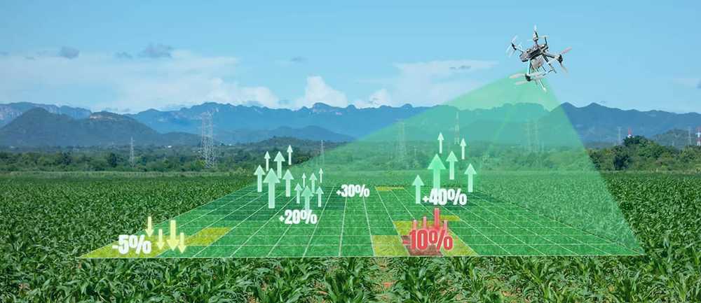 Drone - Crop mapping