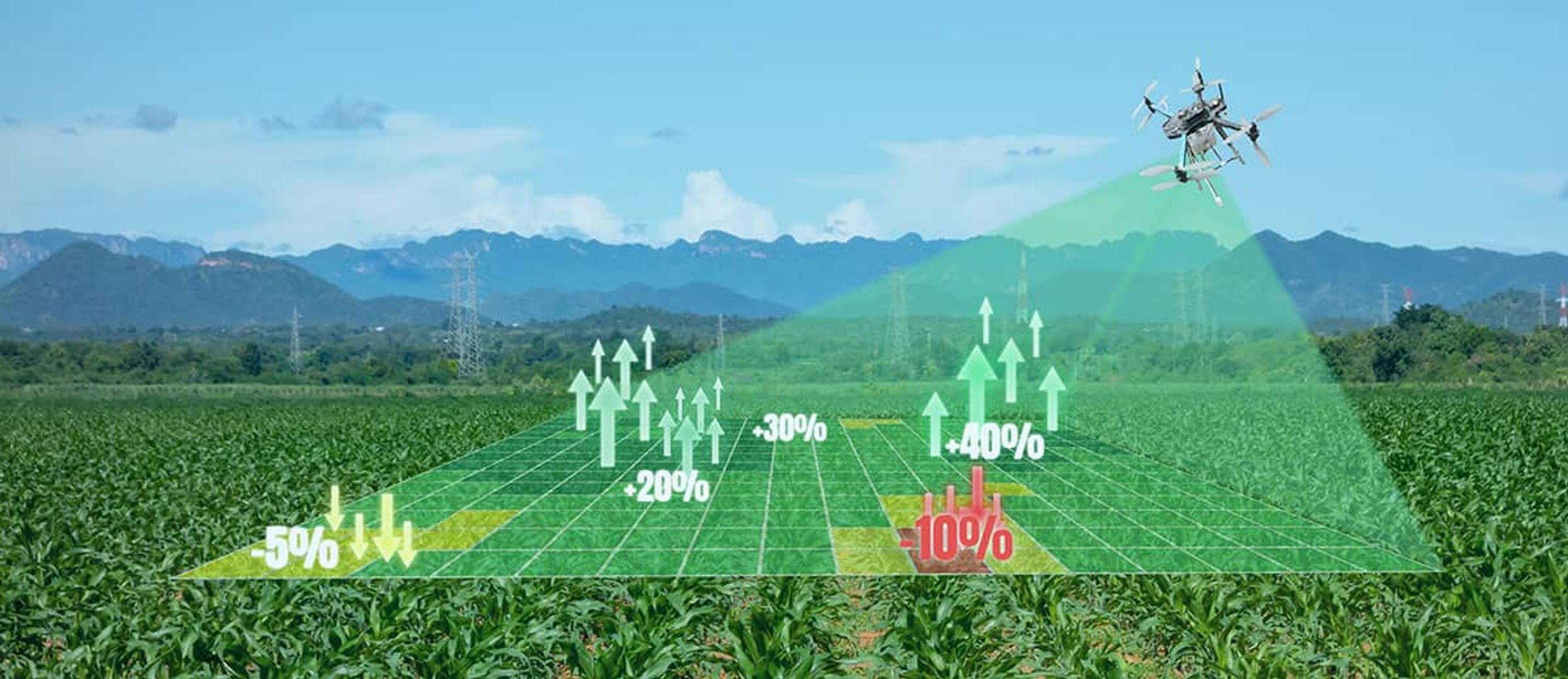 Drone - Crop mapping image