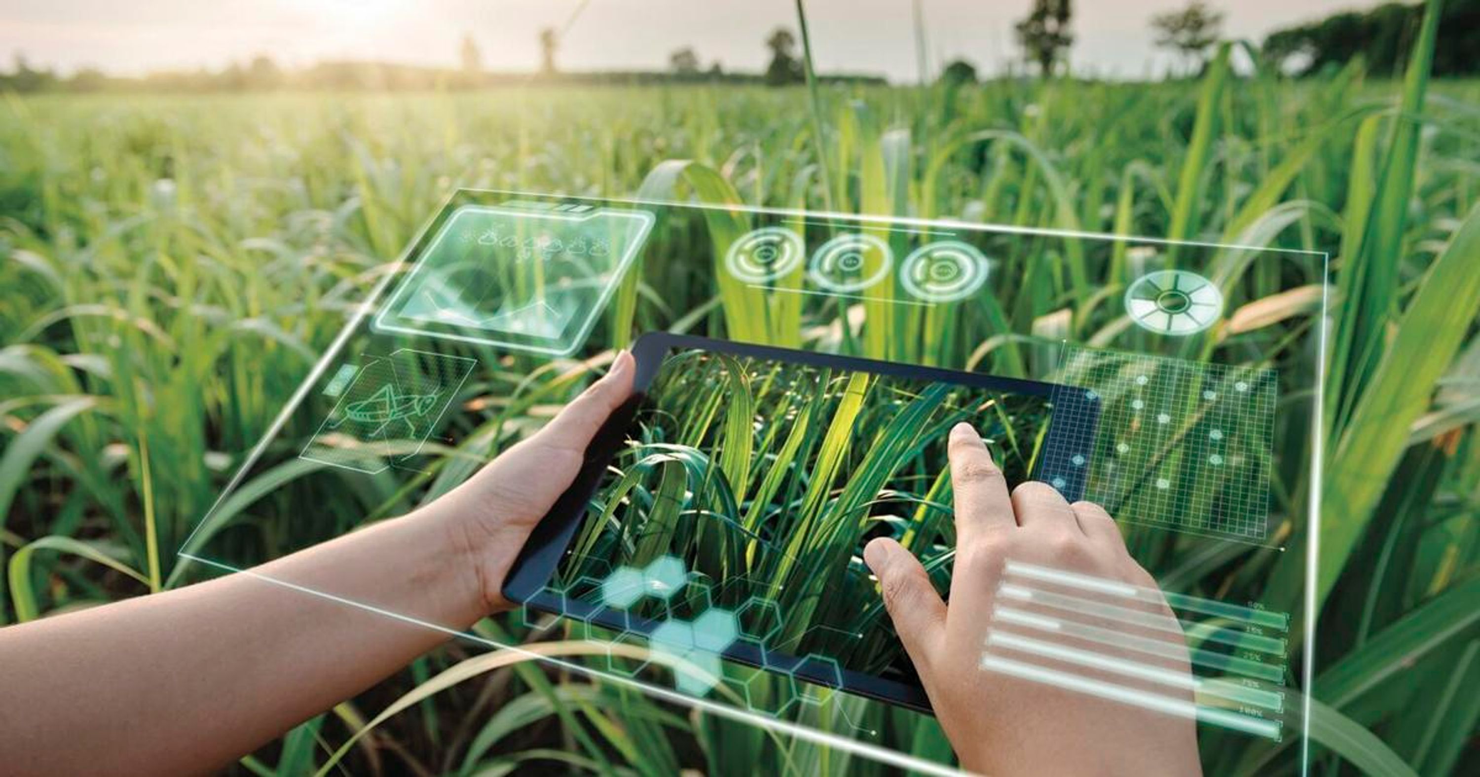 Automated Drone Crop Scouting image