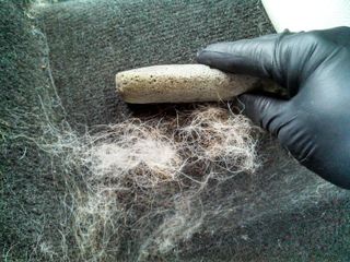 Pet Hair Removal
