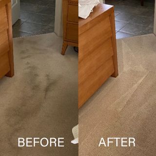 Two Room Carpet Cleaning