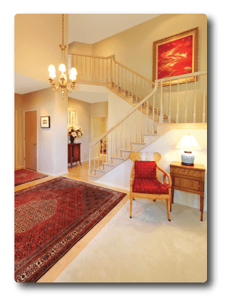 Area Rug Cleaning Services