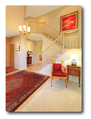 Area Rug Cleaning Services