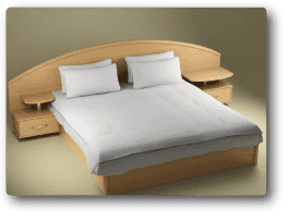 Mattress Cleaning and Sanitizing Services