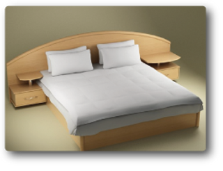 Mattress Cleaning and Sanitizing Services