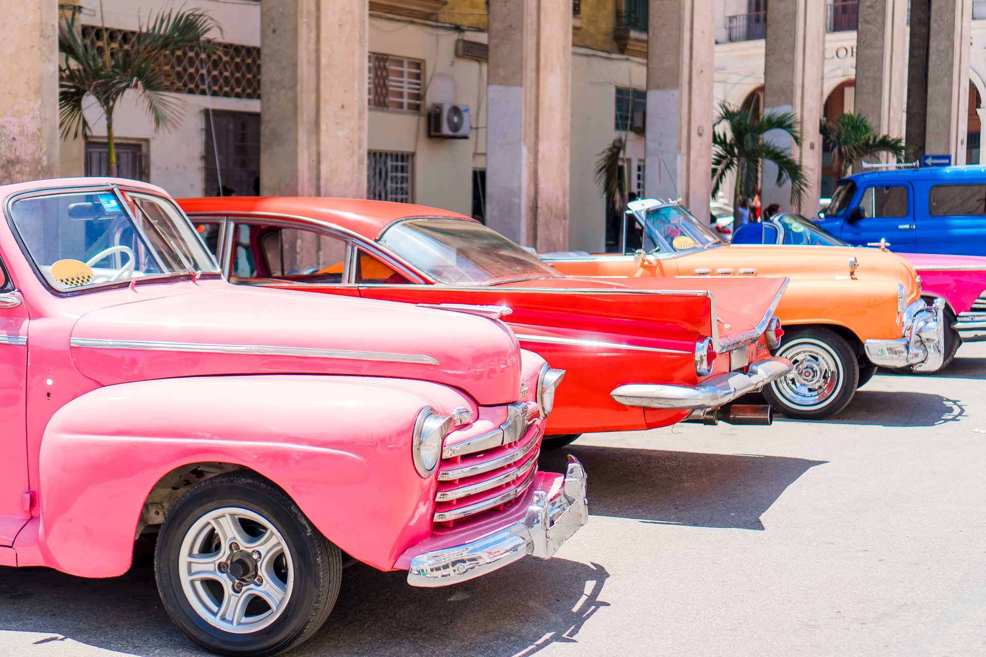 The Car Show image