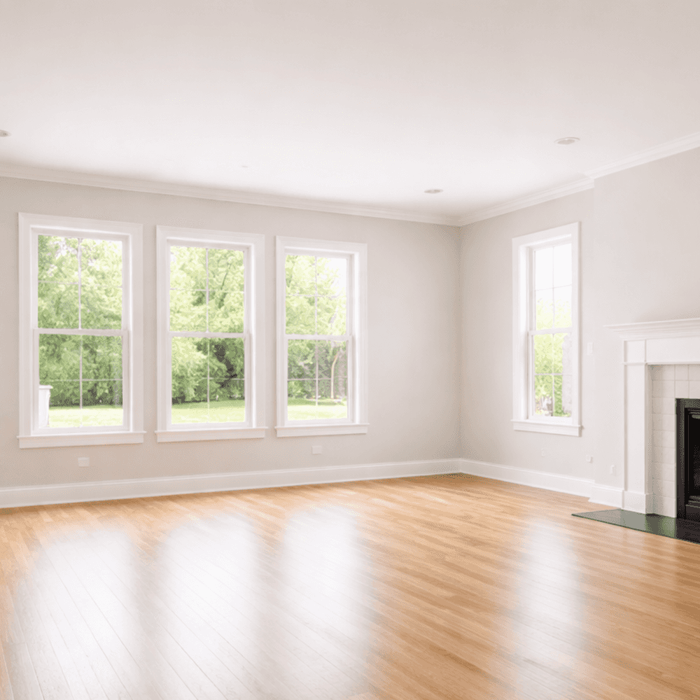 Move In/ Move Out