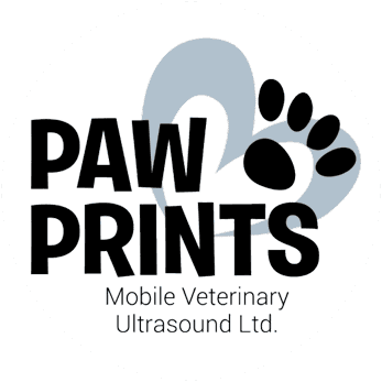 Book a Pet Ultrasound | Paw Prints Mobile Veterinary Ultrasound