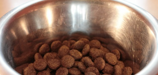 Pet Food