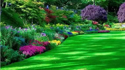 Gardening / Landscaping Services